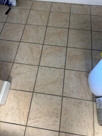 Floors are not supposed to be black! It’s supposed to be white!