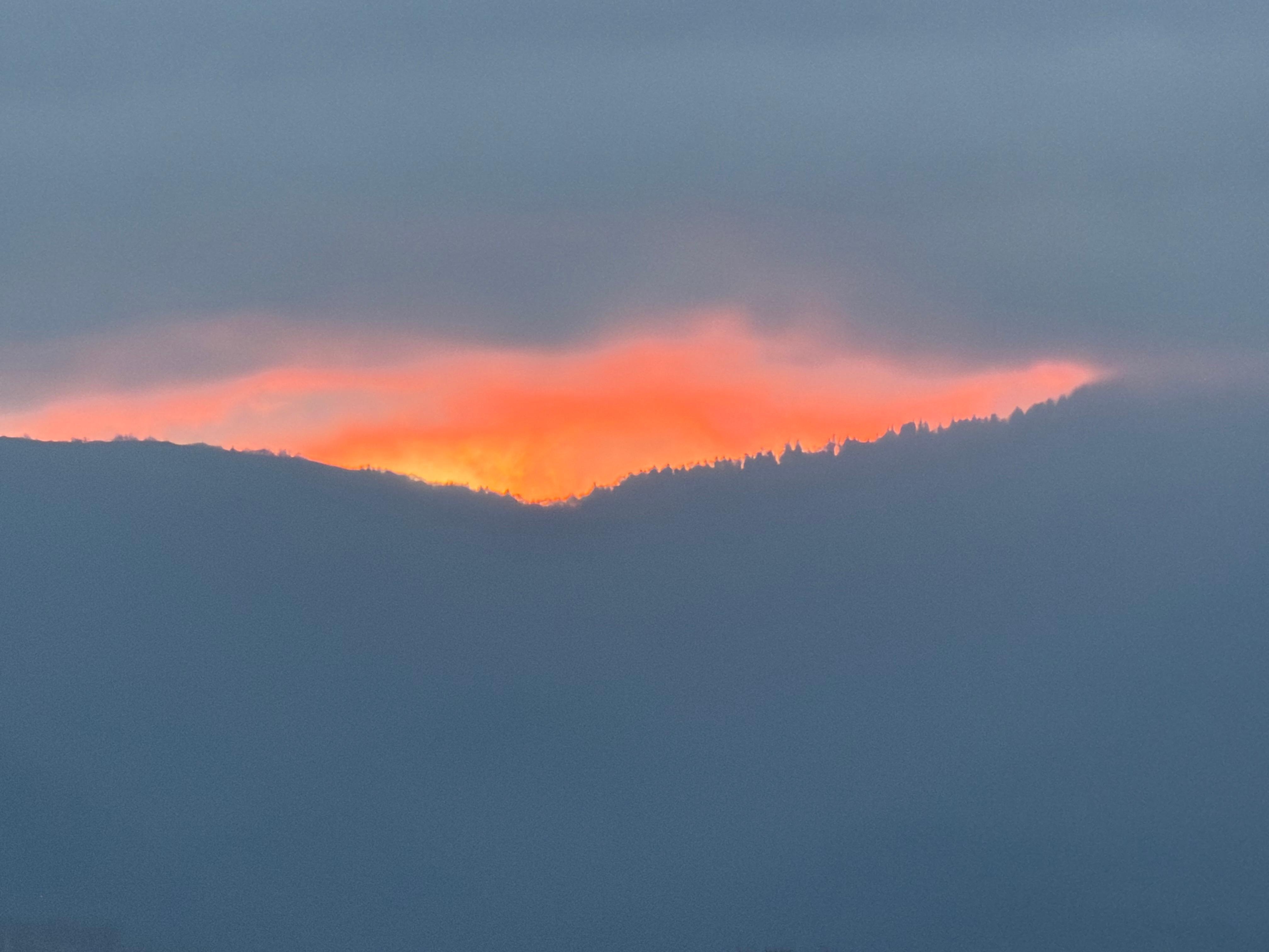 View from back porch 