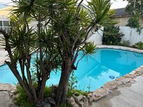 Backyard; relaxing oasis!