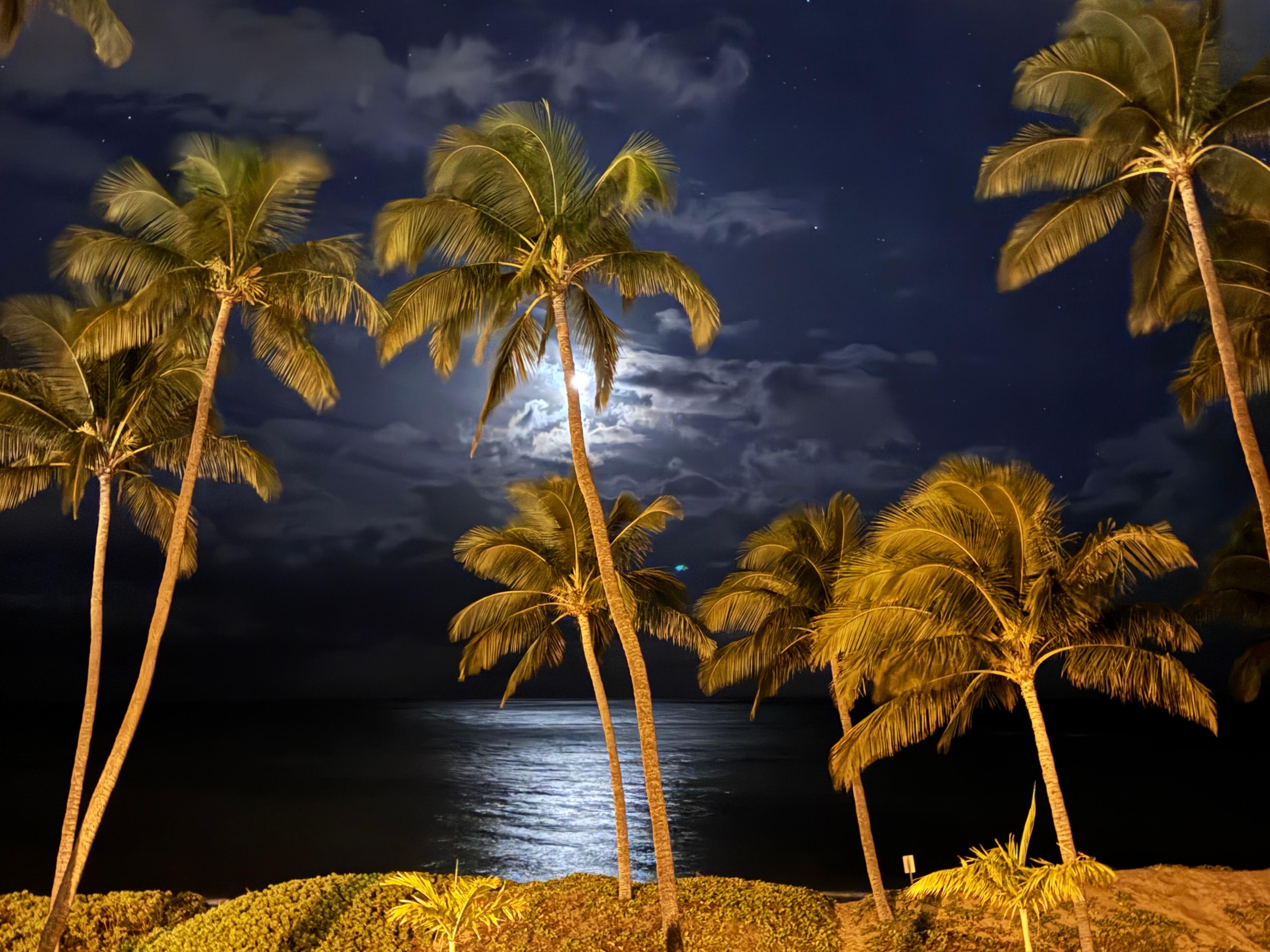 Moonrise from the balcony of the condo 