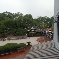 Beautiful view from patio