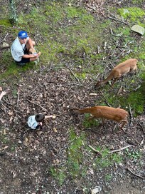 From the new deck looking down!