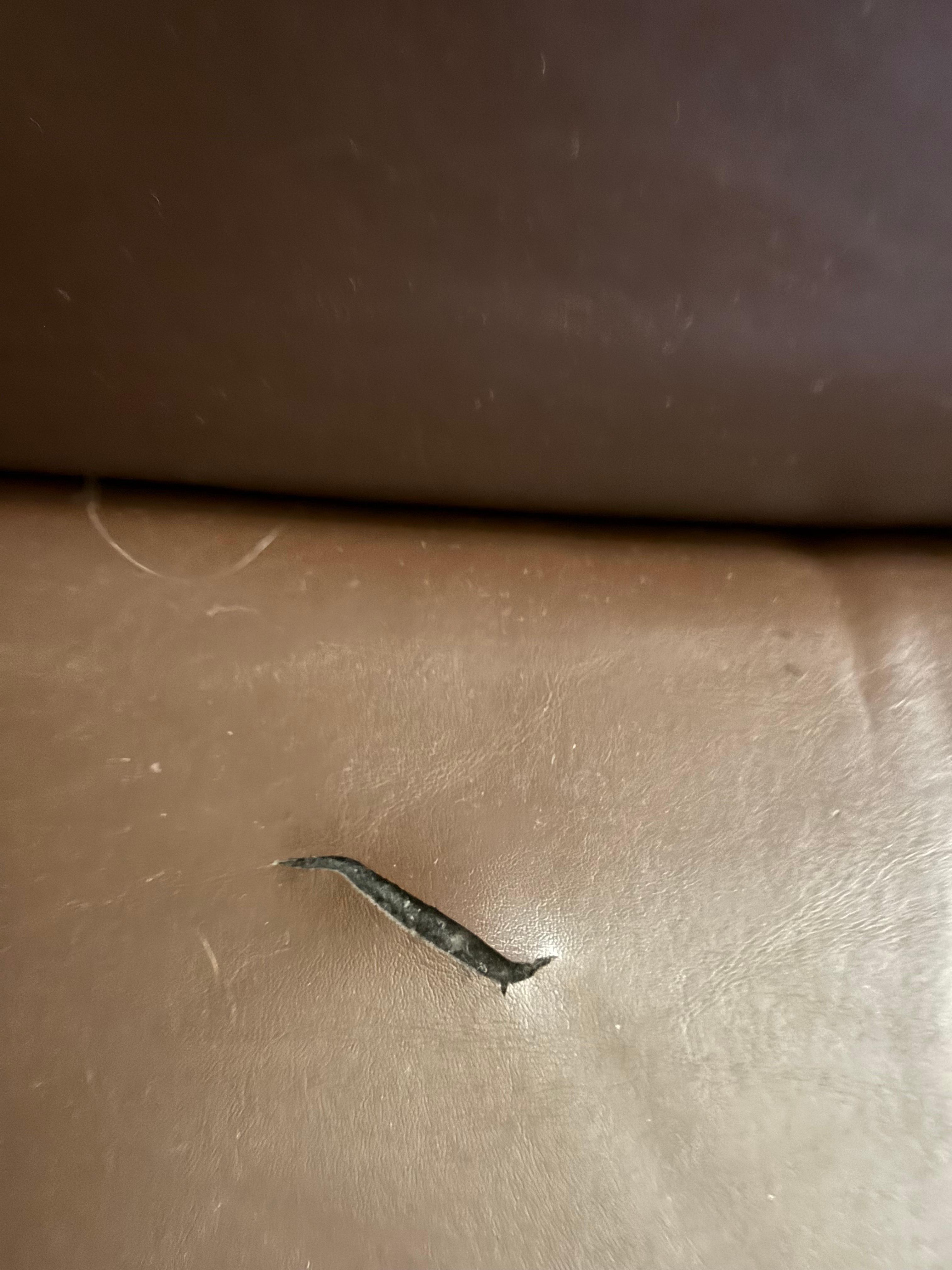 Knife marks in chair