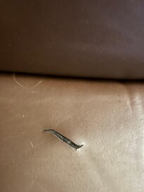 Knife marks in chair