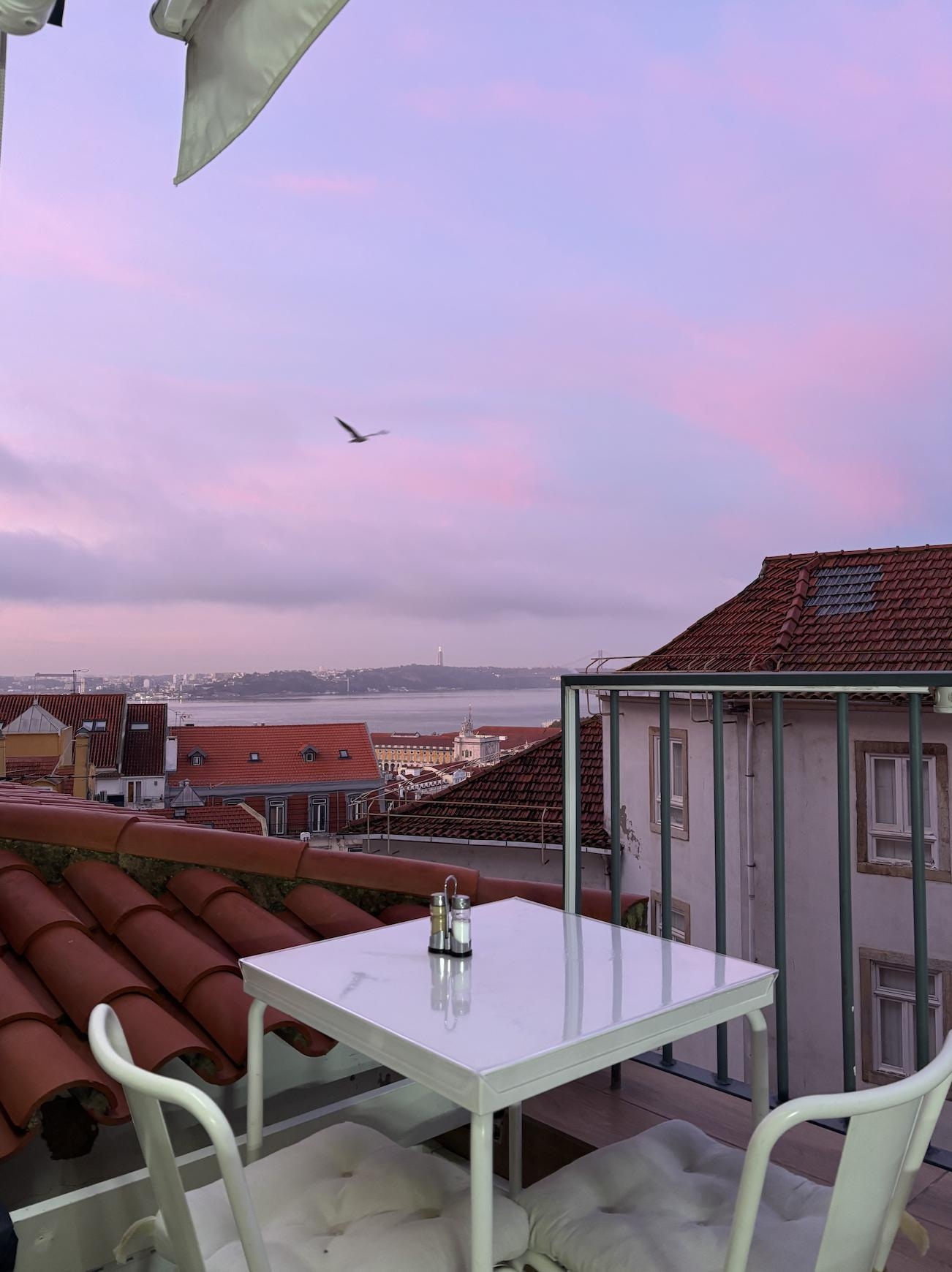 view from inside the terrace at 8am