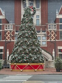 Bardstown tree- within walking distance in warmer weather!