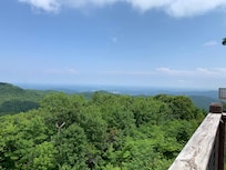 Afternoon back deck view