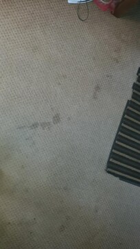 Stains
