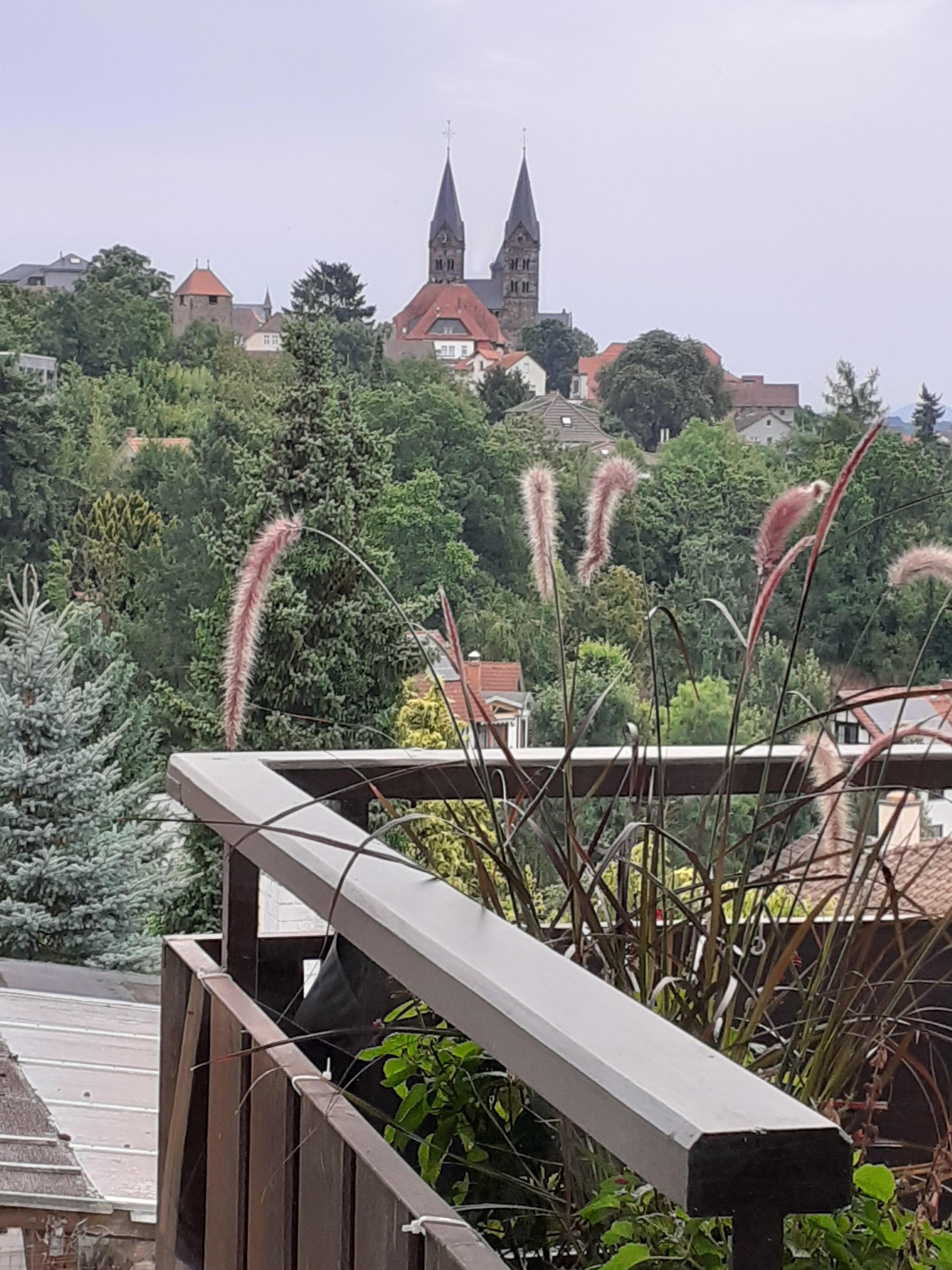 Blick morgens aus dem Küchenfenster