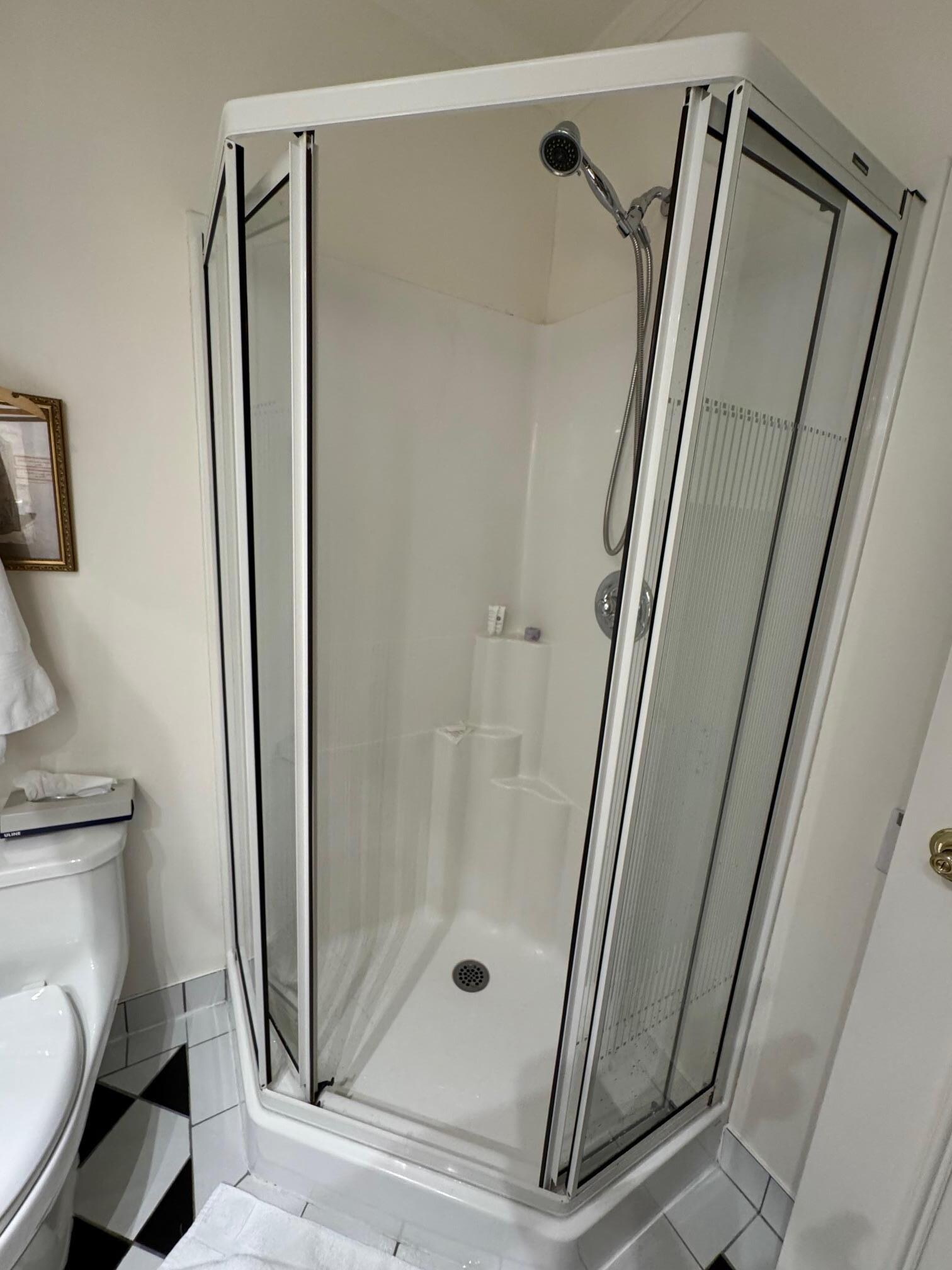 the tiny walk in shower space