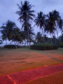 Night view from porch