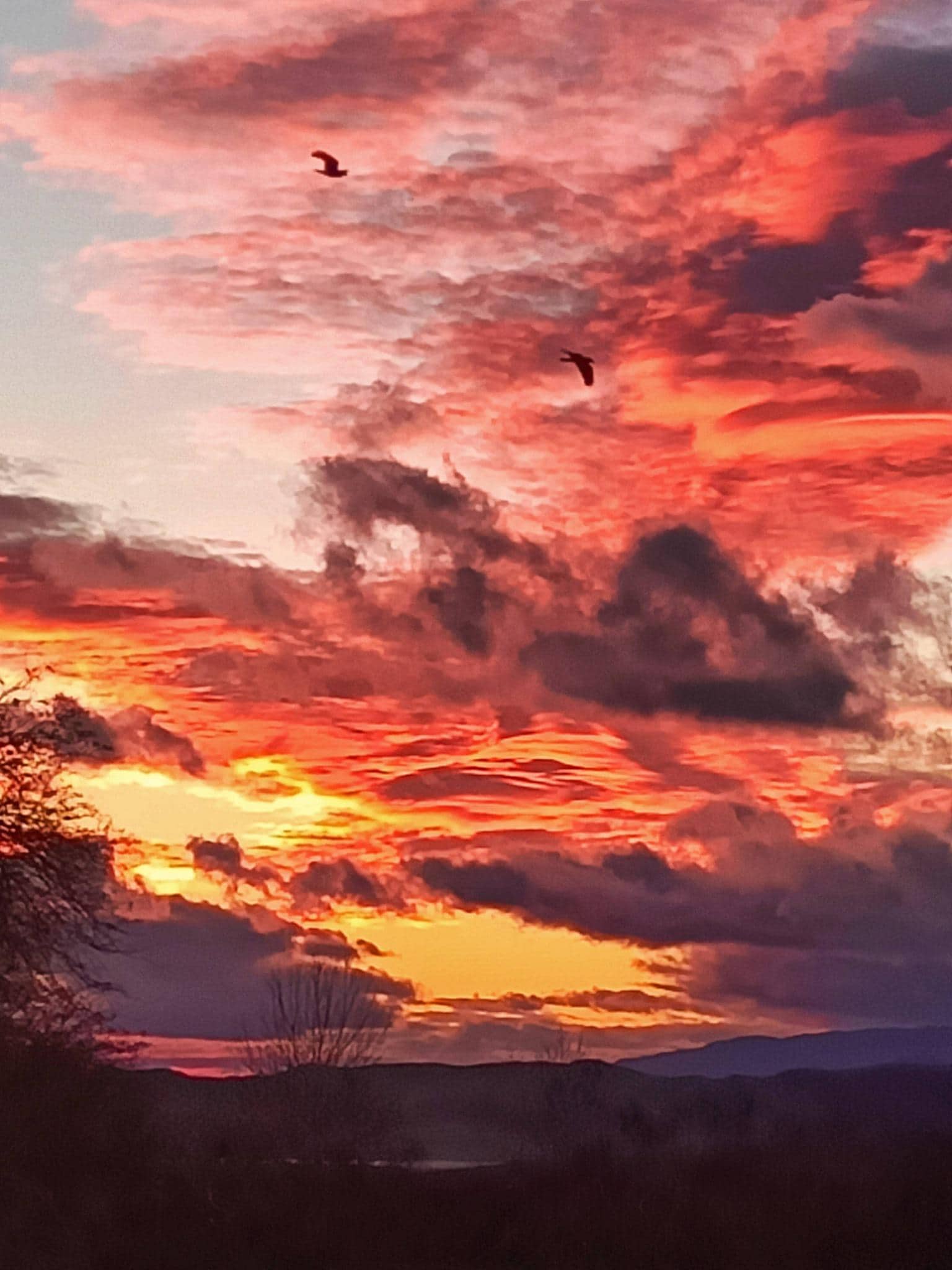 Gorgeous sunsets almost every night - this one caught the ravens playing in the wind