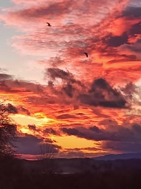 Gorgeous sunsets almost every night - this one caught the ravens playing in the wind
