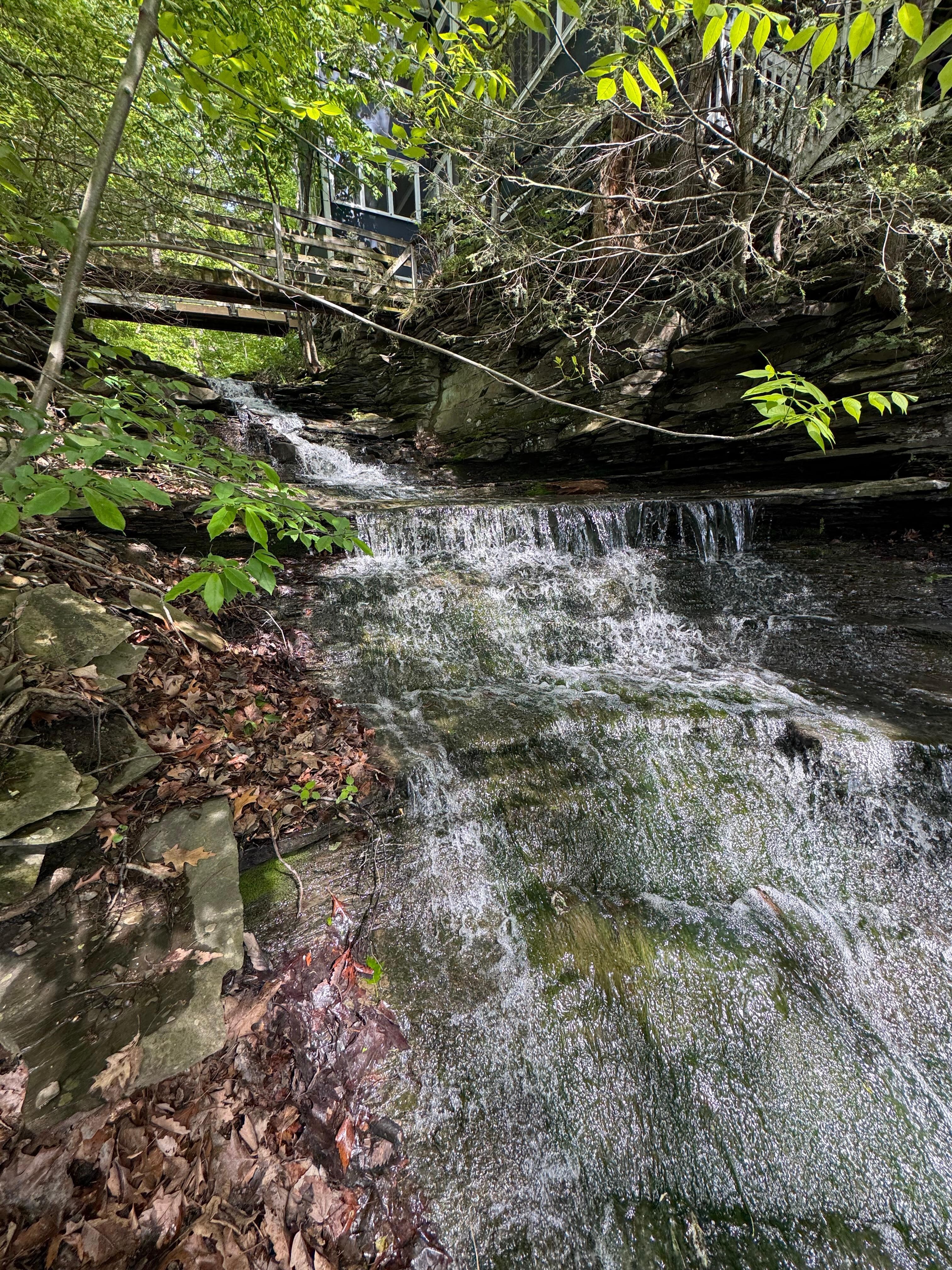 View from lake level up at home 