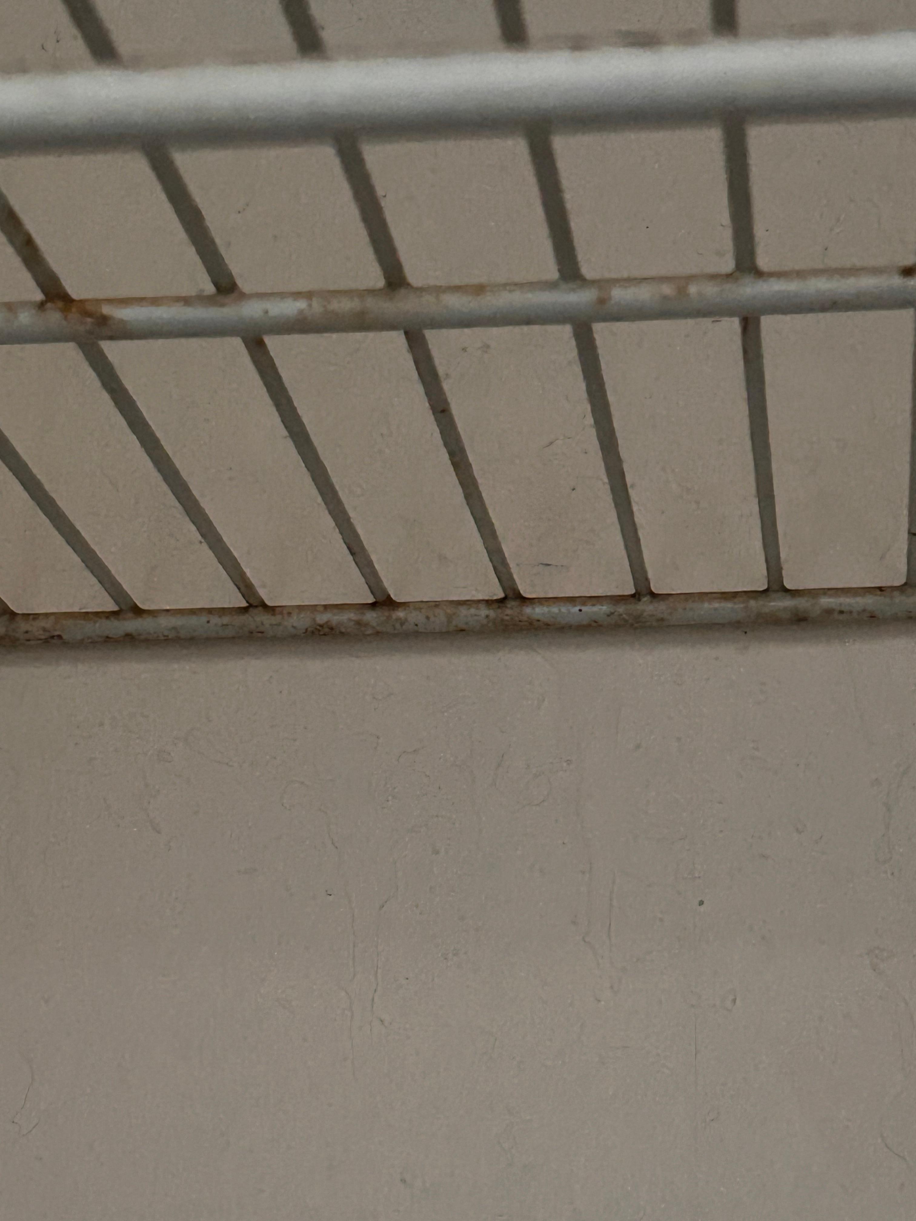 Shelf in the closet. Couldn’t use it. No hangers either