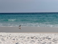 Gorgeous beach and water