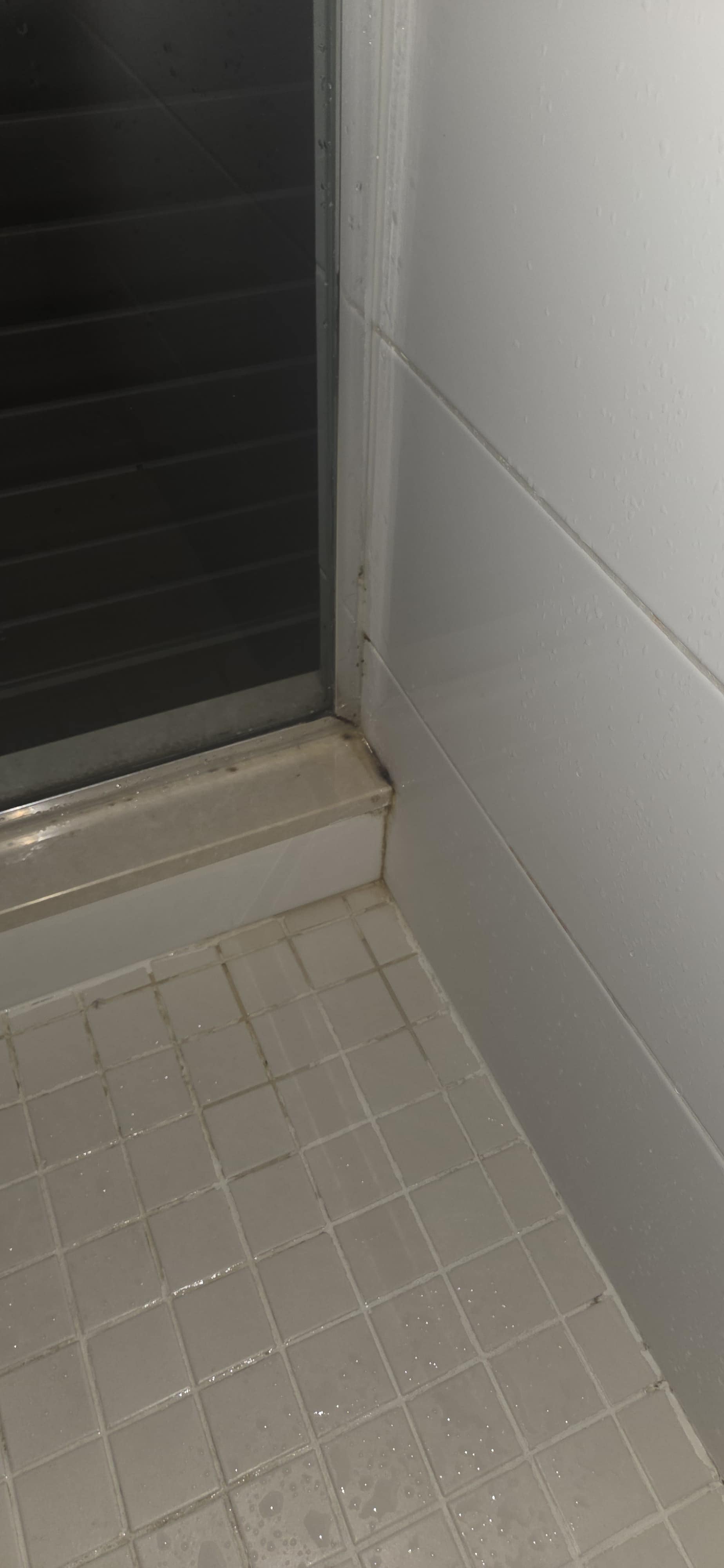 Potential mold in bathroom. 