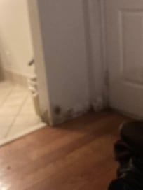 Room looks like staff