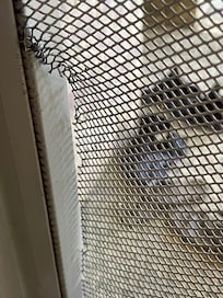 Front screen door
