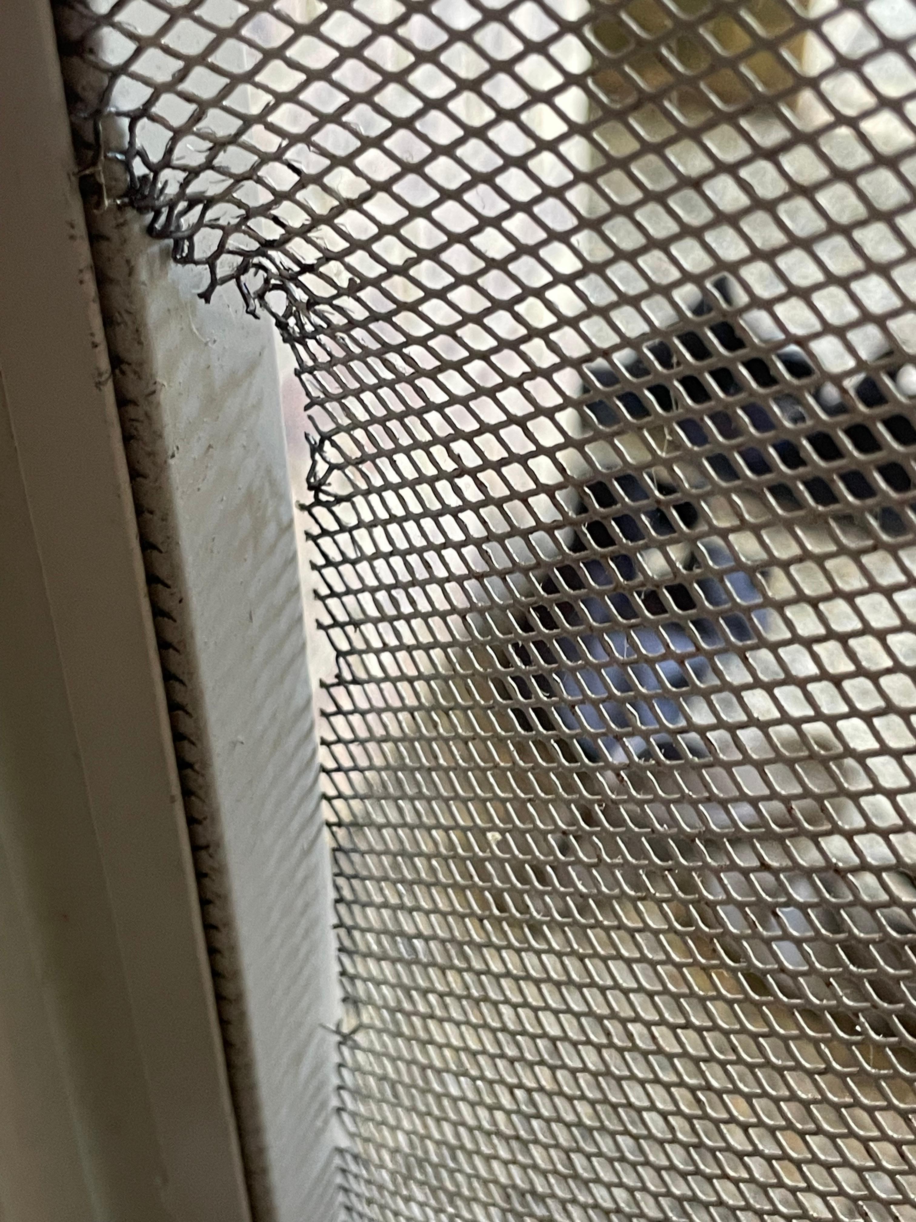 Front screen door