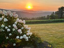 Beautiful sunset view from the backyard.