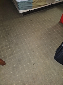 Dirty Carpet