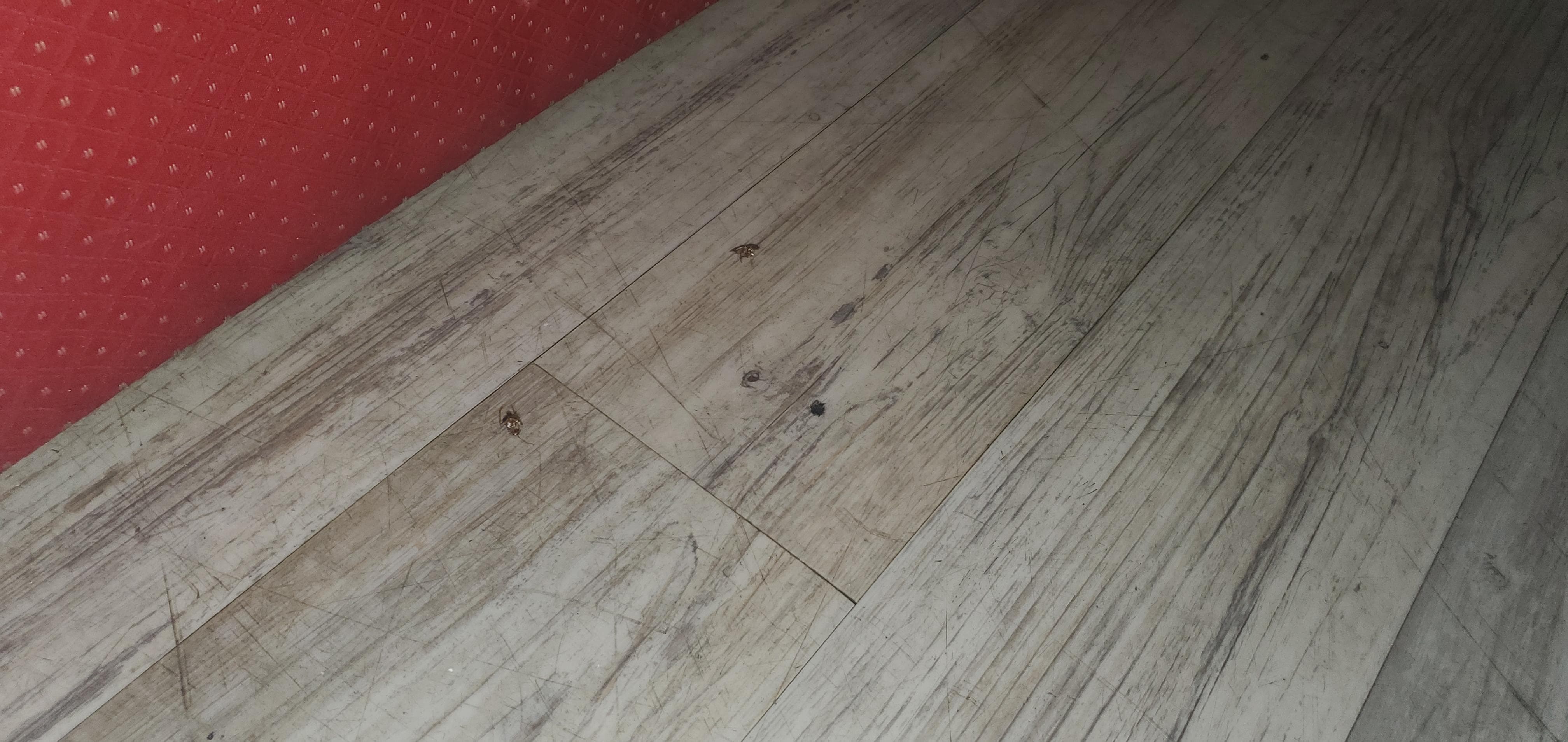 3 more roaches by the a/c unit. 