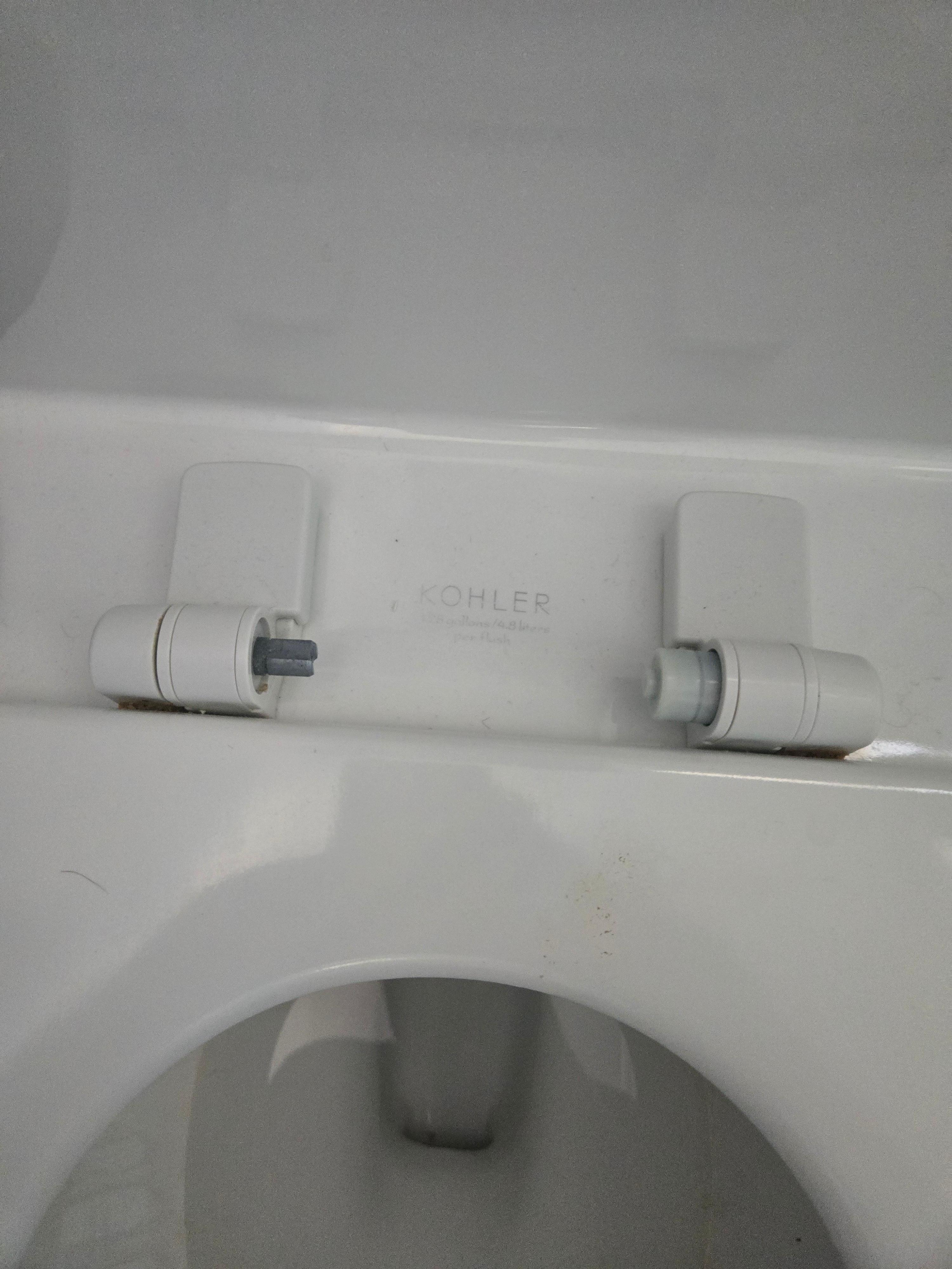 Master toilet back screw cover missing.