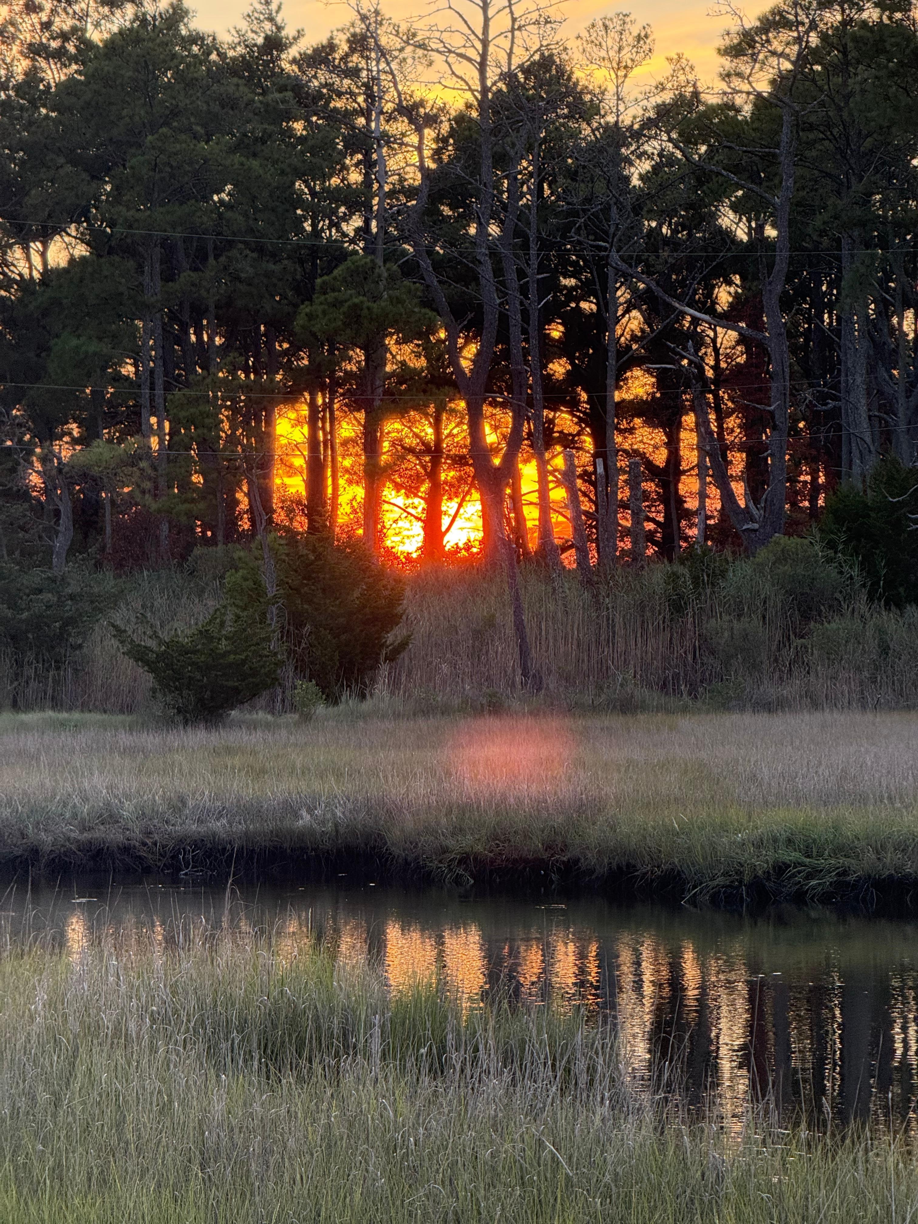 Stunning sunset from the front yard. 
