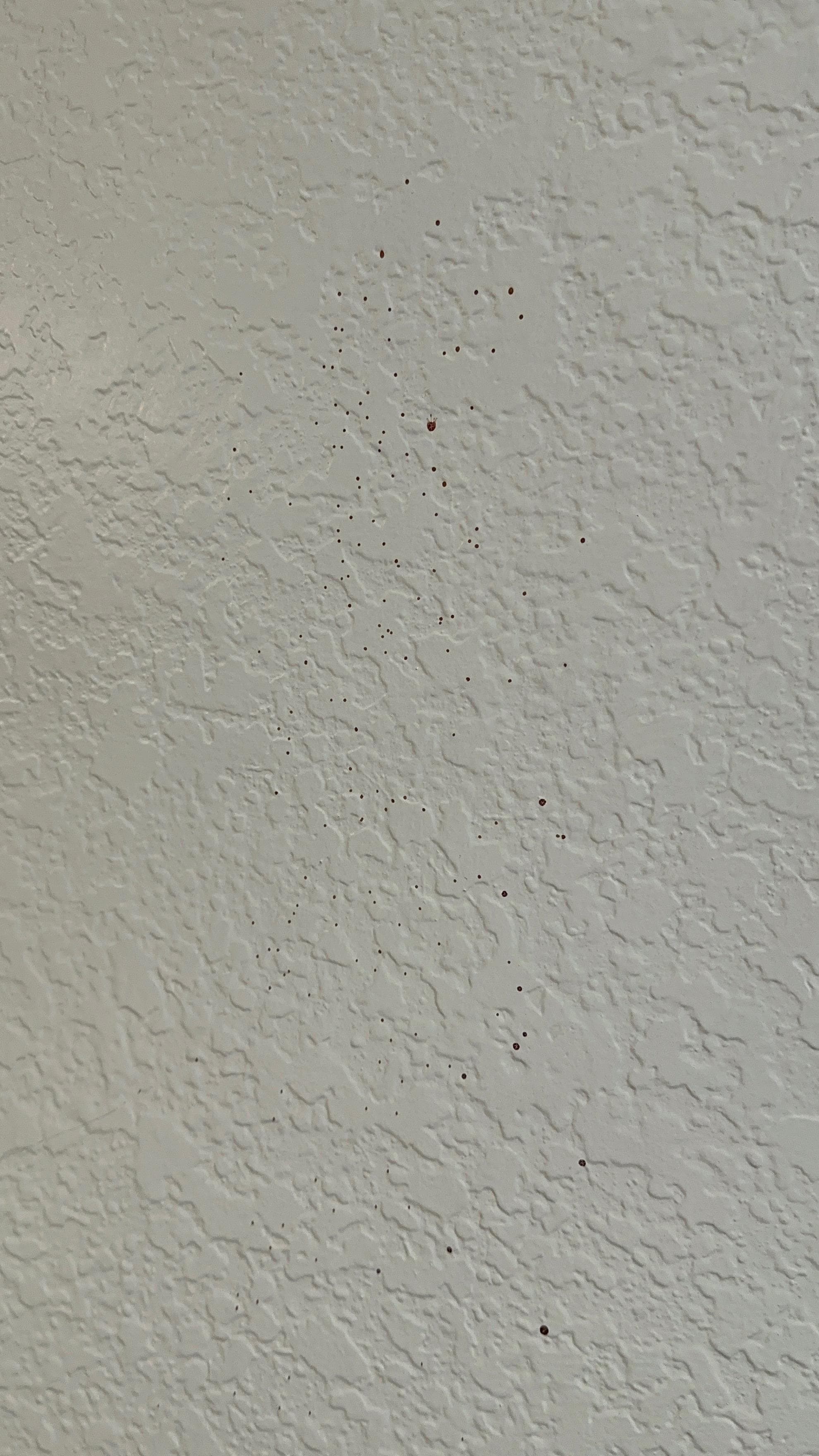 Is that blood on the wall???