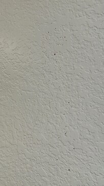 Is that blood on the wall???