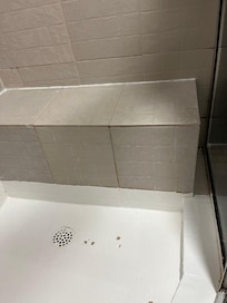 Shower - poor condition.