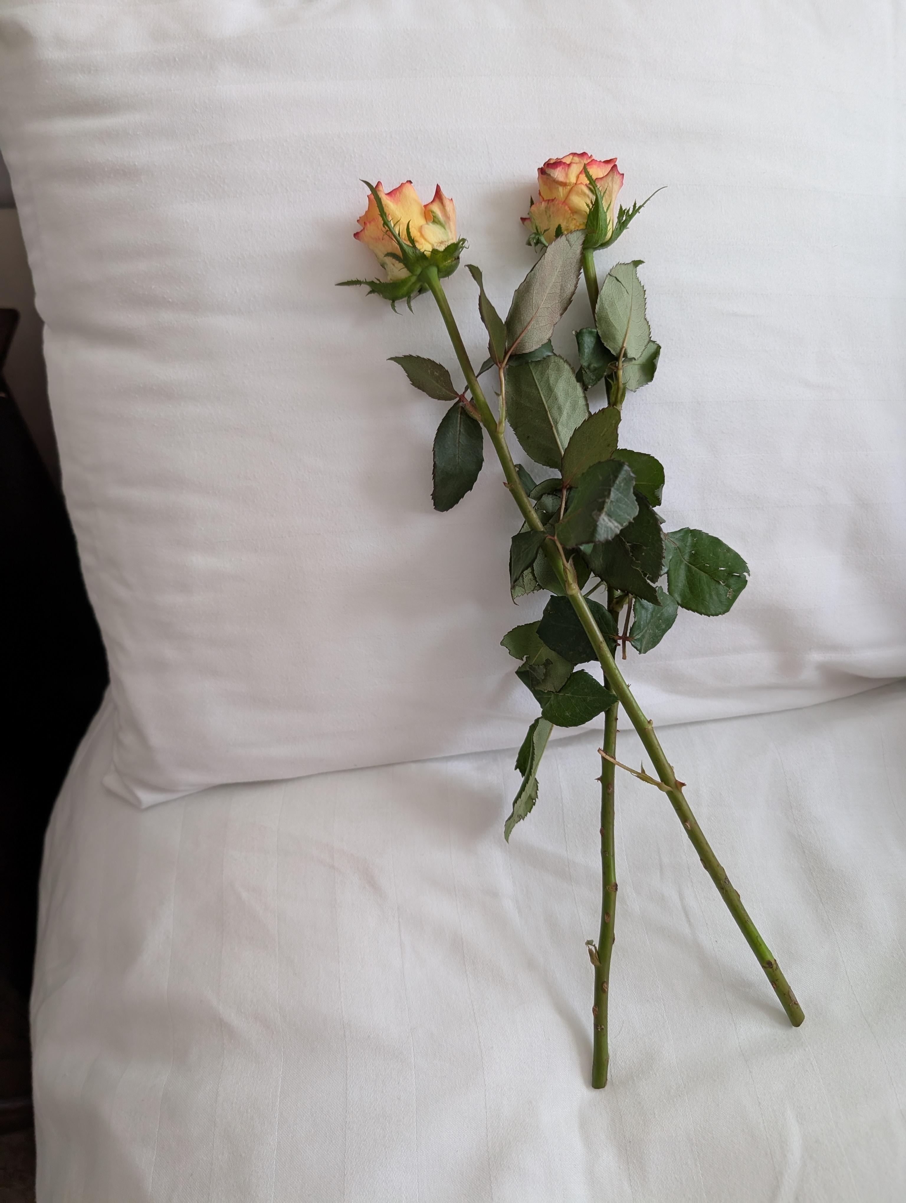 Lovely touch for valentine's day 