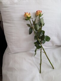 Lovely touch for valentine's day