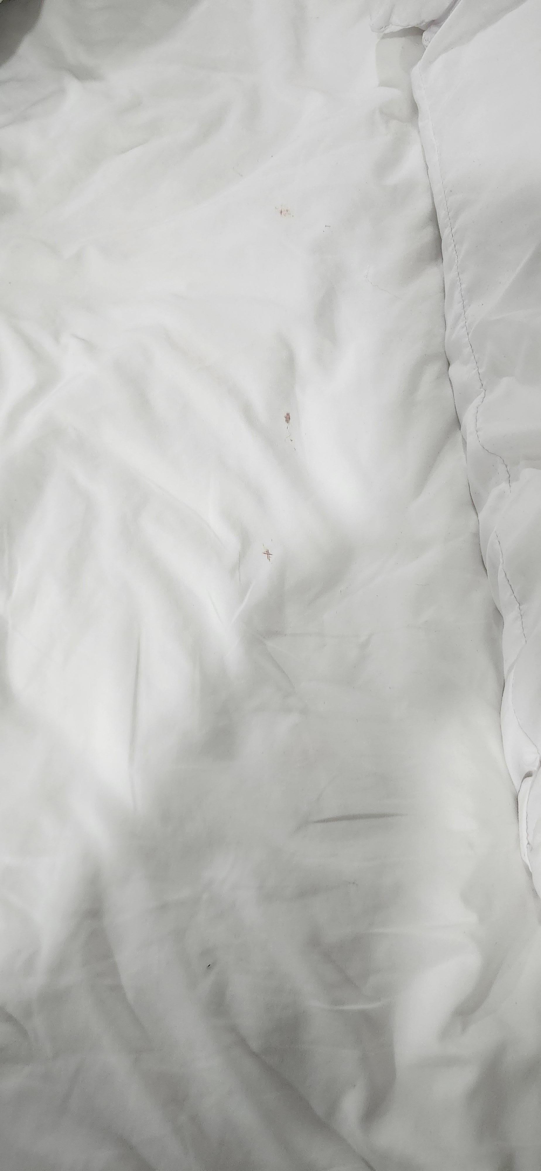 This was the bedsheets that I found to have several red stains.  Not sure if it was blood, makeup, or food.  But it wasn't from me.