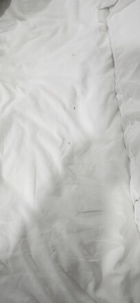 This was the bedsheets that I found to have several red stains. Not sure if it was blood, makeup, or food. But it wasn't from me.