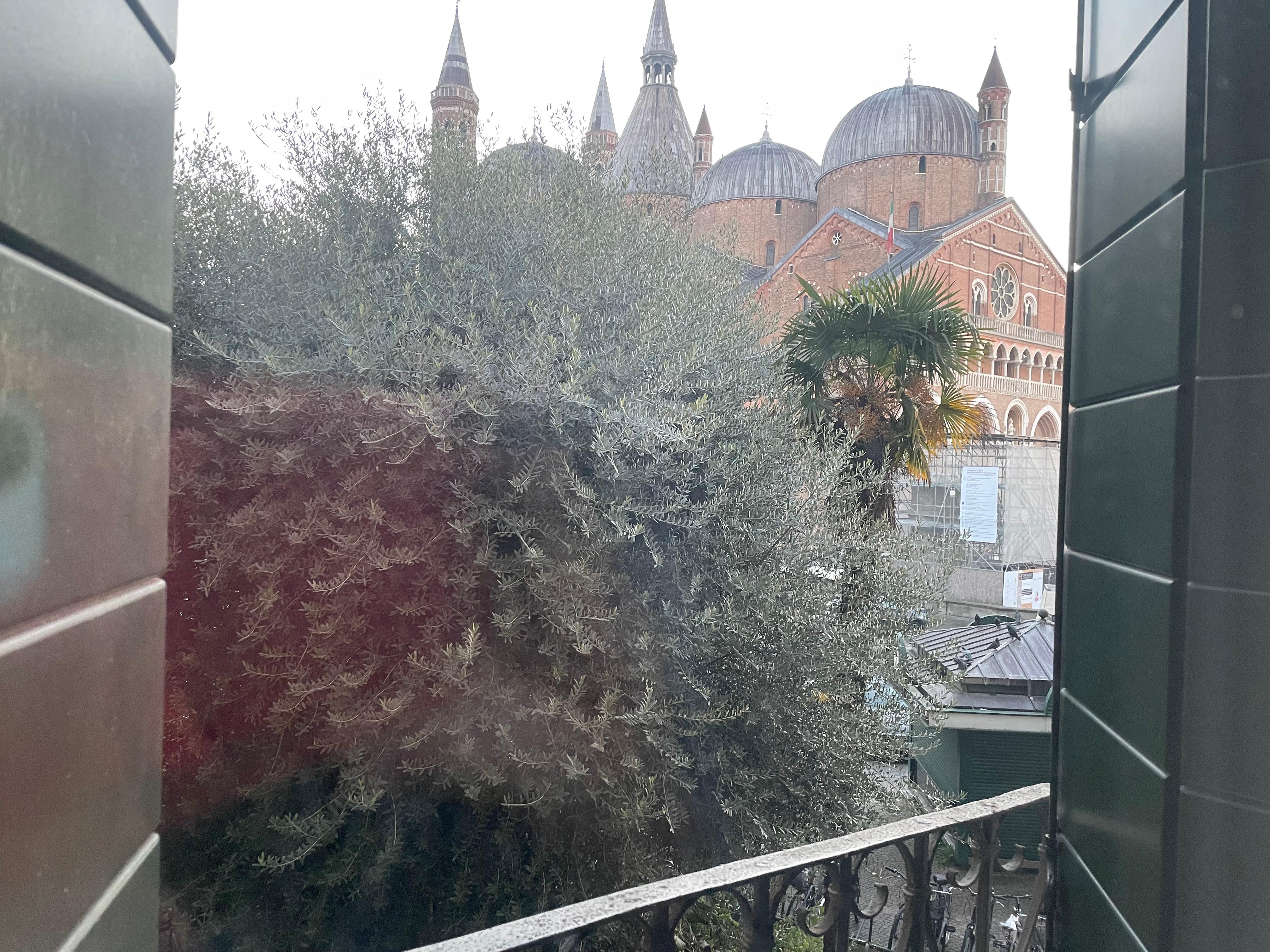 Poor panoramic view for this option