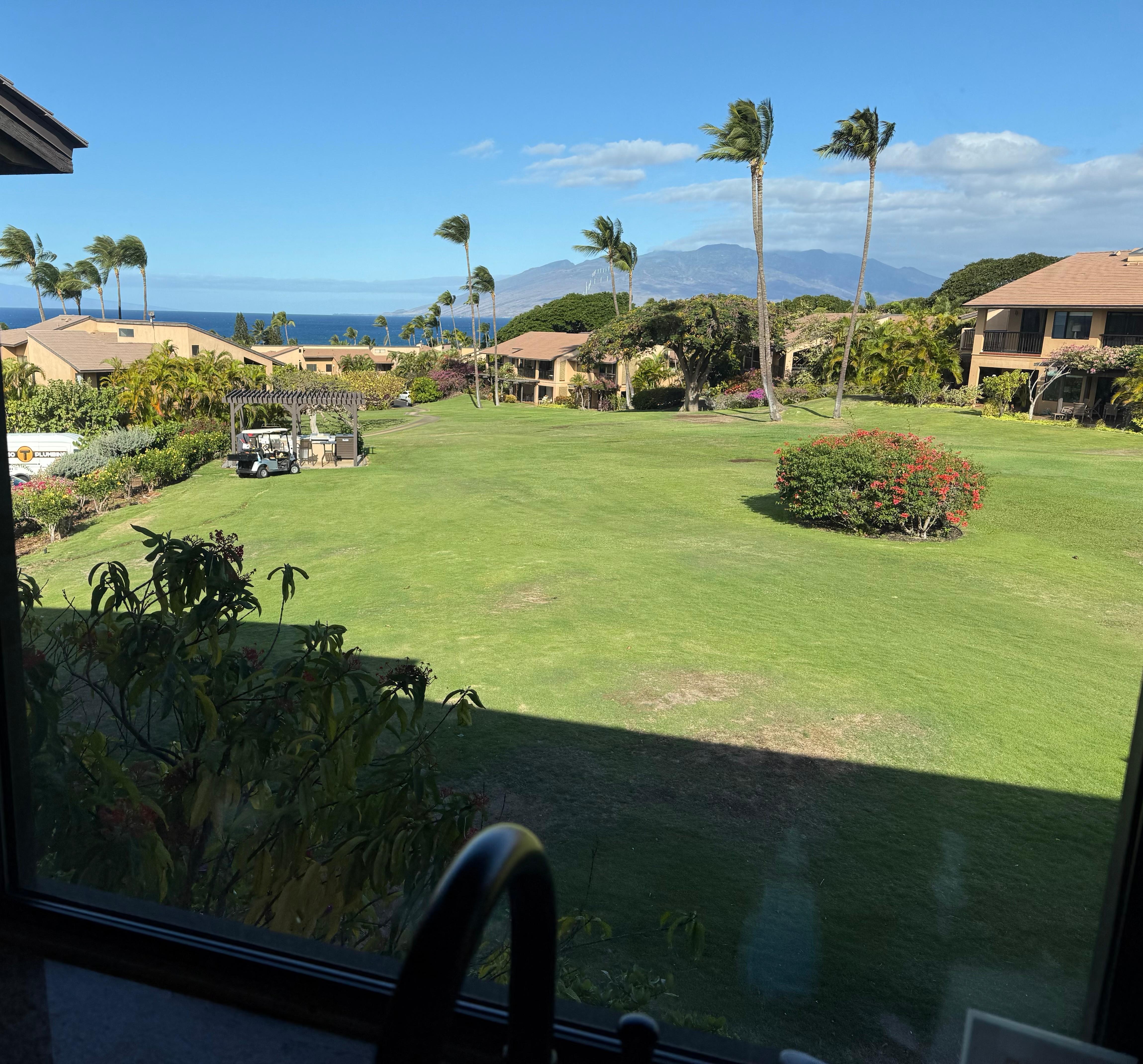 This is the view from the window at the kitchen sink. Although it really does not do the view justice, because the ocean is much closer than the picture makes it look.