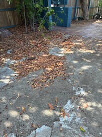 Leaves and rubbish in front of property
