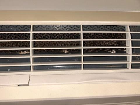 Mold inside AC unit and the ringing noise