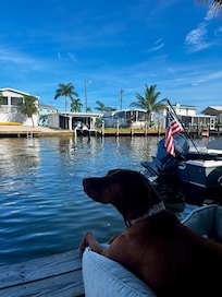 Pet friendly is a plus. Harley loved our mornings waving at the boaters