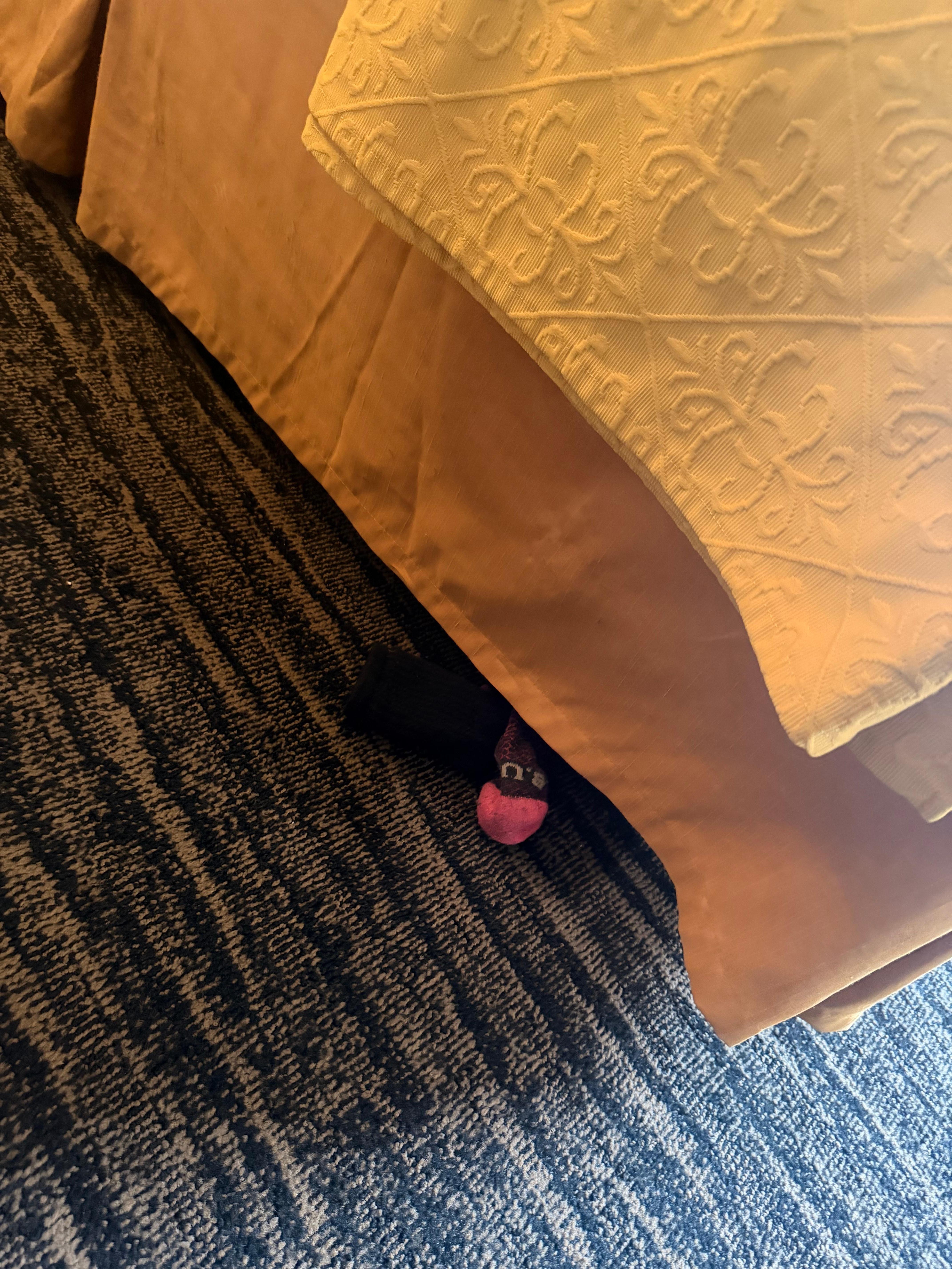 Dirty sock found at check in. 