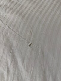 Torn bedsheet