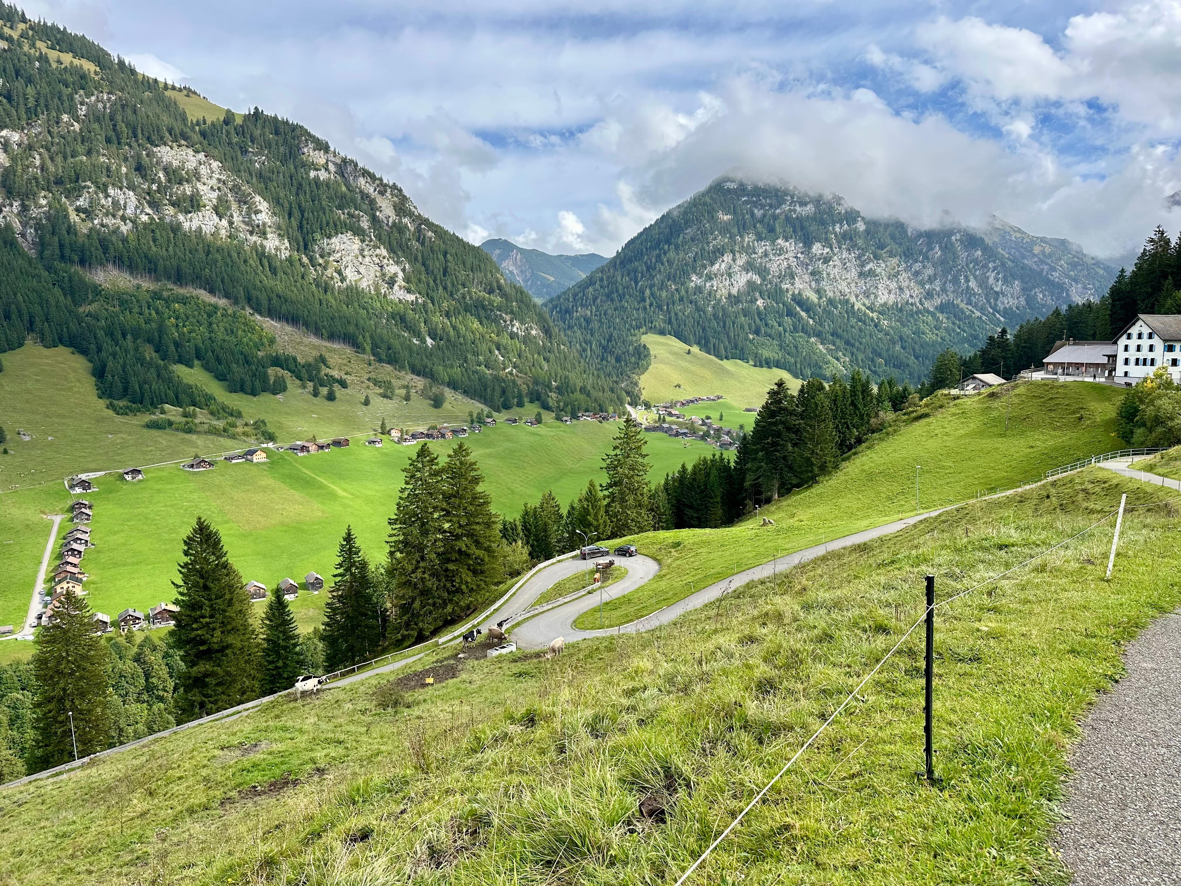 A crazy road beyond the property. 