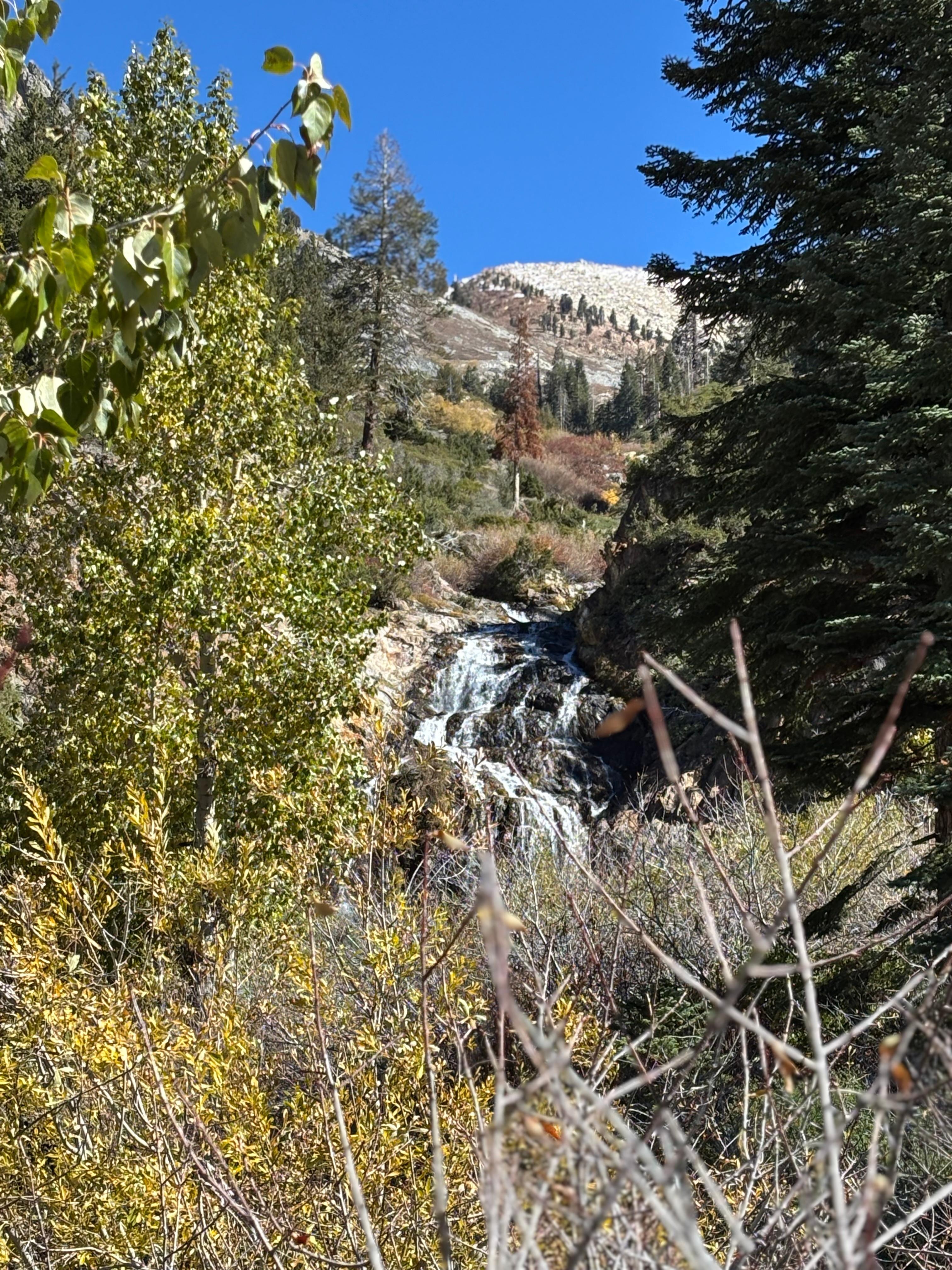 View from top of mountain