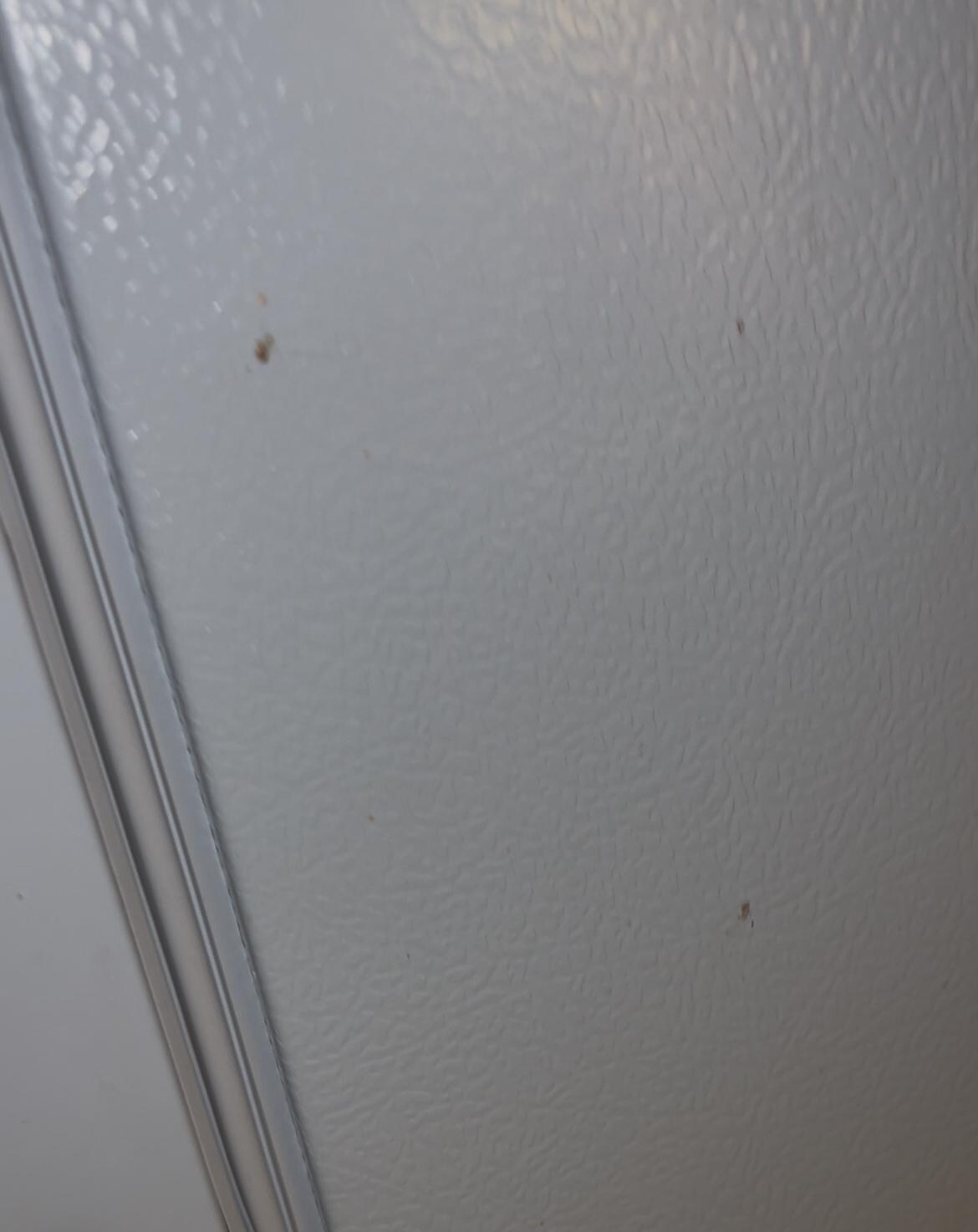 Boogies on the side of the fridge. 