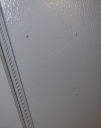 Boogies on the side of the fridge.