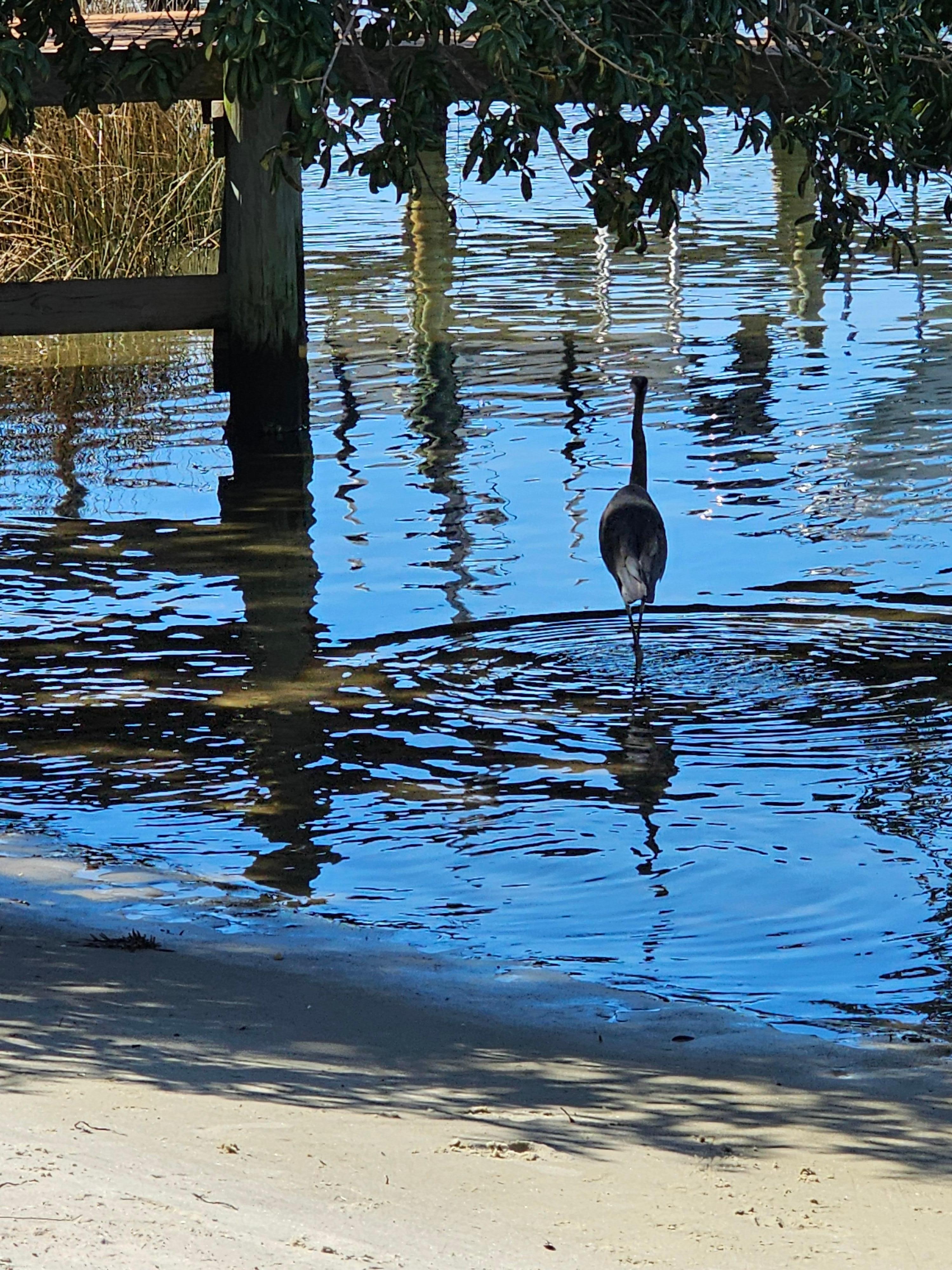 Back of Surf and  sand