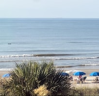 We seen dolphins 2 out of the 5 days we were there.