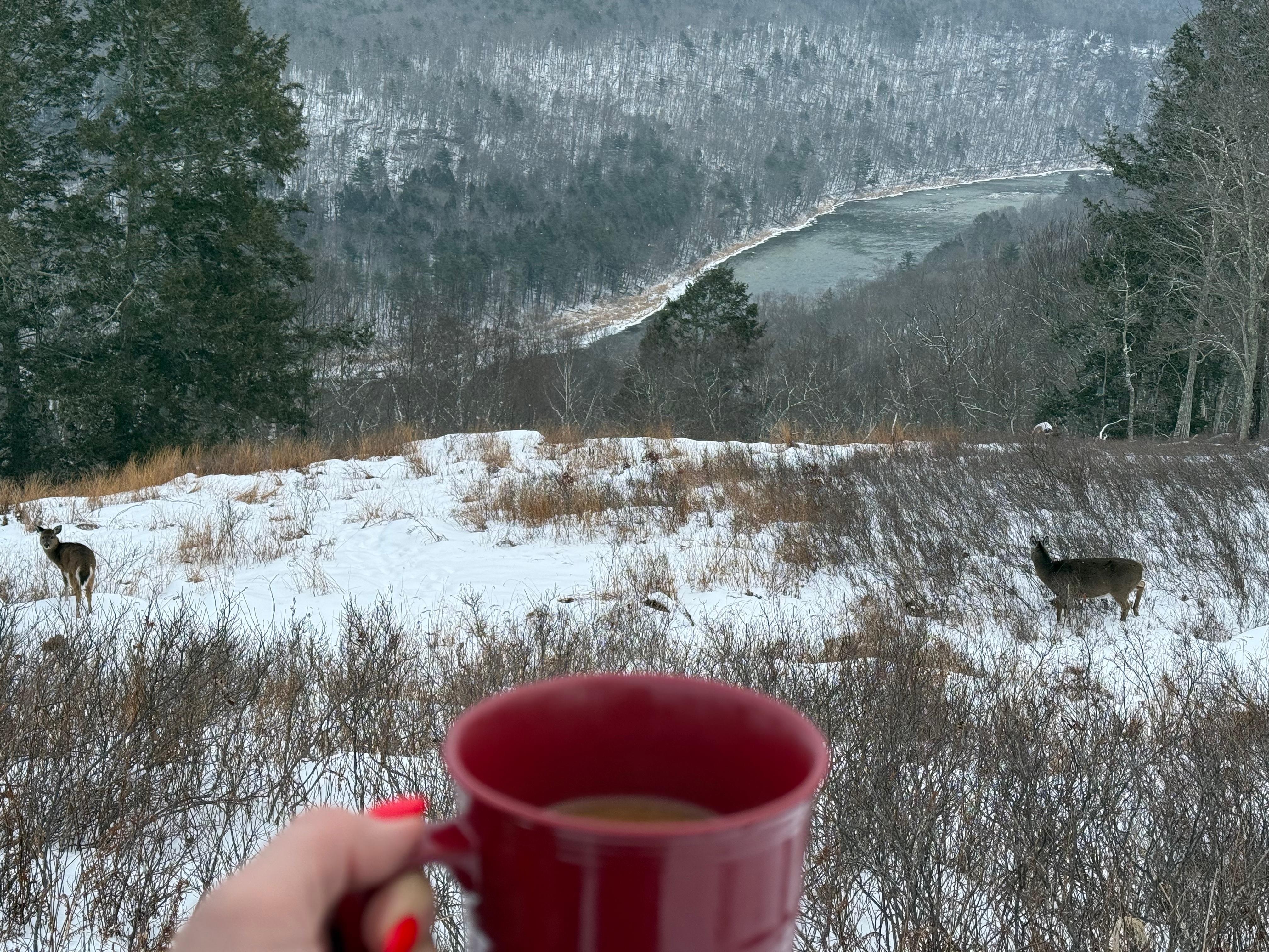 The view from the house is wow amazing. 